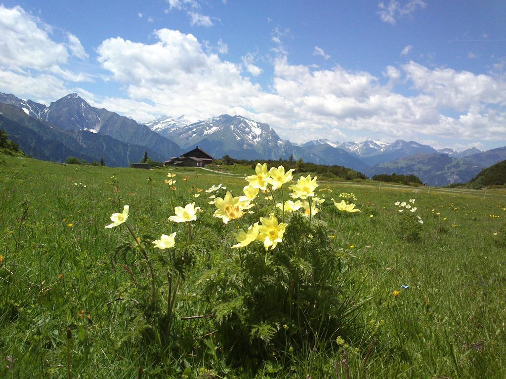 Ferienwohnungen Kroll - Appartements Viktoria Und Landhaus Maria Mayrhofen Exterior photo